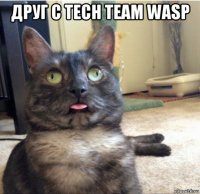 друг с tech team wasp 