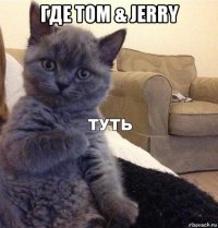 где tom & jerry 