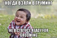 когда взяли в груминг не в статусе ready for grooming