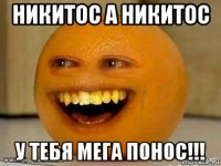 никитос а никитос у тебя мега понос!!!