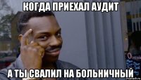 когда приехал аудит а ты свалил на больничный