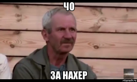 чо за нахер