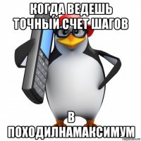 когда ведешь точный счет шагов в походилнамаксимум