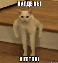 ну где вы я готов!