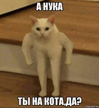 а нука ты на кота,да?