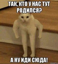 так, кто у нас тут родился? а ну иди сюда!