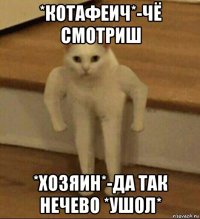 *котафеич*-чё смотриш *хозяин*-да так нечево *ушол*