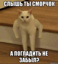 слышь ты сморчок а погладить не забыл?