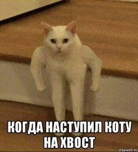  когда наступил коту на хвост