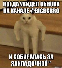 когда увидел обнову на канале @bigbcbro и собиралась за закладочкой**