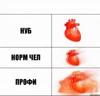 нуб норм чел профи