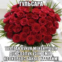 гульсара туулган кунун менен!!!чын ден соолук узун омур, коонорбос бакыт каалайм!