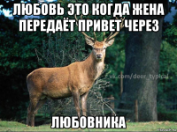 любовь это когда жена передаёт привет через любовника