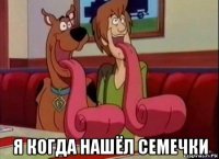  я когда нашёл семечки