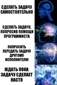 Сделать задачу самостоятельно Сделать задачу, попросив помощи программиста Попросить передать задачу другому исполнителю Ждать пока задачу сделает Настя