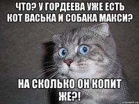 что? у гордеева уже есть кот васька и собака макси? на сколько он копит же?!