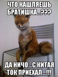 что кашляешь братишка...??? да ничо...с китая ток приехал...!!!