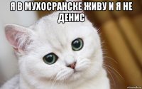 я в мухосранске живу и я не денис 