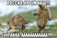 россия: крым наш!!! украина: аааааааааааа!!!!!