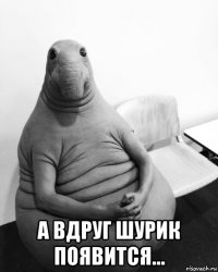  а вдруг шурик появится...