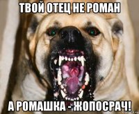 твой отец не роман а ромашка - жопосрач!