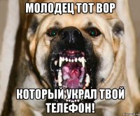 молодец тот вор который украл твой телефон!