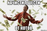 начистил шести от котов