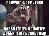 получил форму euro 2020 добби теперь волонтёр, добби теперь свободен!