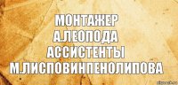 монтажер
а.леопода
ассистенты
м.лисповинпенолипова