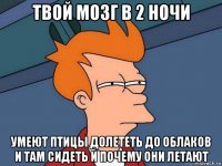 твой мозг в 2 ночи умеют птицы долететь до облаков и там сидеть и почему они летают