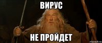 вирус не пройдет