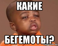 какие бегемоты?