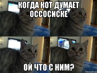 когда кот думает оссосиске ой что с ним?