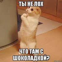 ты не лох что там с шоколадкой?