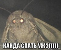  канда спать ужэ(((((