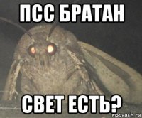 псс братан свет есть?