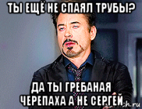 ты ещё не спаял трубы? да ты гребаная черепаха а не сергей