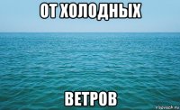 от холодных ветров