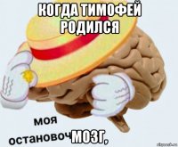 когда тимофей родился мозг,