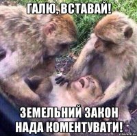 галю, вставай! земельний закон нада коментувати!