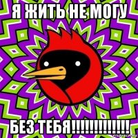 я жить не могу без тебя!!!!!!!!!!!!!