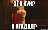 это хуй? я угадал?