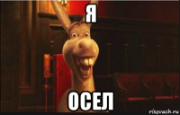 я осел