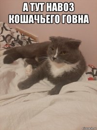 а тут навоз кошачьего говна 