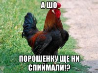 а шо порошенку ще ни спиймали!?