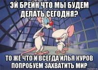 эй брейн что мы будем делать сегодня? то же что и всегда илья куров попробуем захватить мир