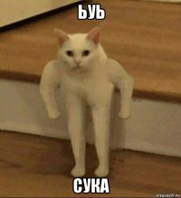 ьуь сука