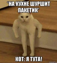 *на кухне шуршит пакетик* кот: я тута!