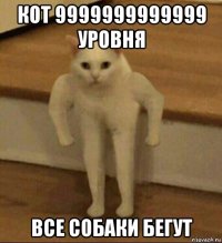 кот 9999999999999 уровня все собаки бегут