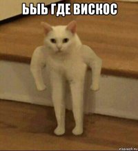 ьыь где вискос 